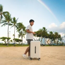 Delsey Cruise 3.0 26-Inch Trunk Spinner - Platinum Grey Polycarbonate Checked Luggage with Overweight Indicator -Luggage Pros Store Delsey Cruise 3 0 26 Trunk Spinner 18