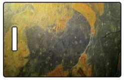 Luggage Pros Slate and Wood Grain Natural Texture Luggage Tag - Premium Travel ID Accessory