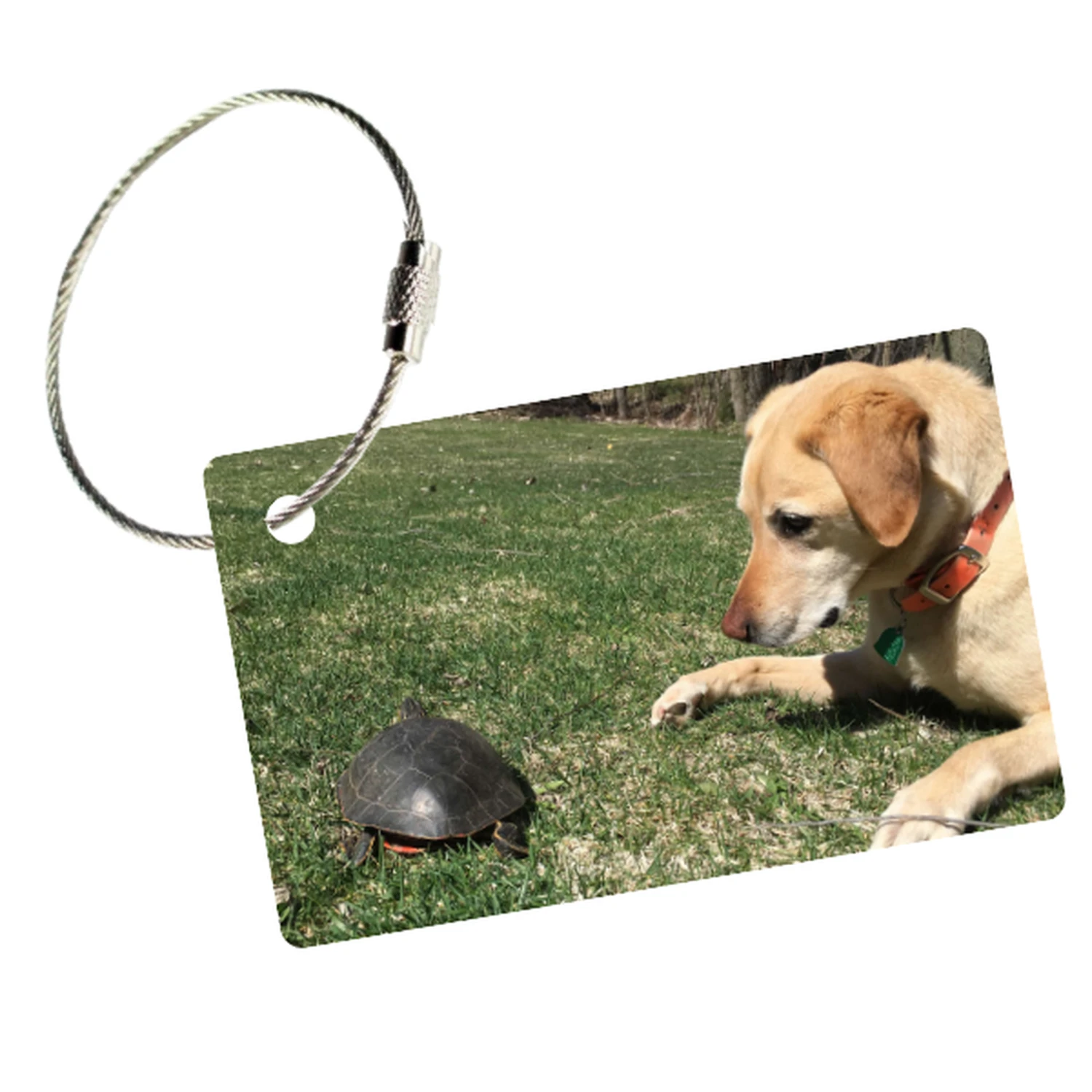 MyFly Custom Horizontal Luggage Tag with Stainless Steel Metal Loop - Personalized Photo Travel ID 7 MyFly Custom Horizontal Luggage Tag with Stainless Steel Metal Loop - Personalized Photo Travel ID - Image 5