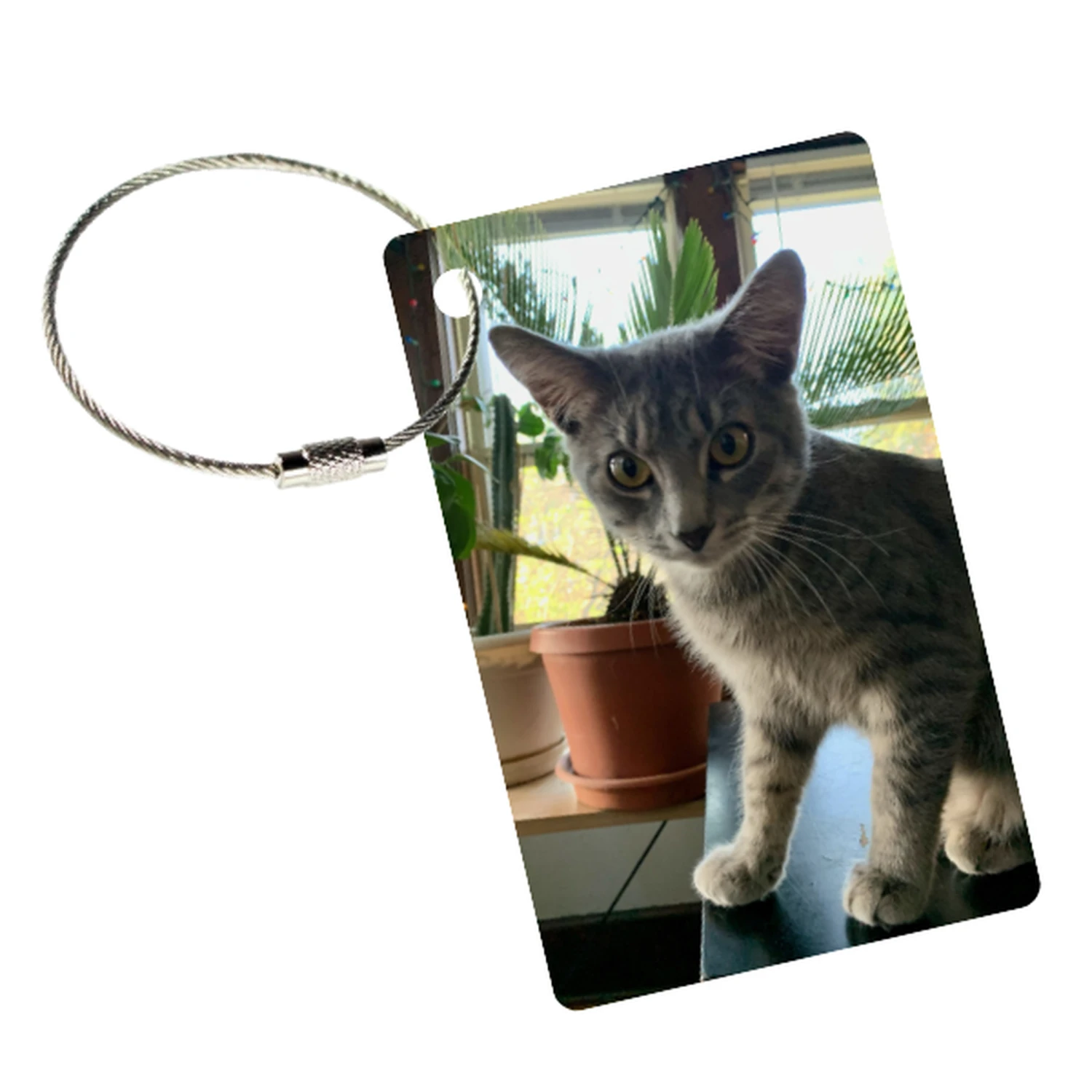 MyFly Tag Custom Personalized Luggage Tag - Stainless Steel Metal Loop Upgrade 5 MyFly Tag Custom Personalized Luggage Tag - Stainless Steel Metal Loop Upgrade - Image 3