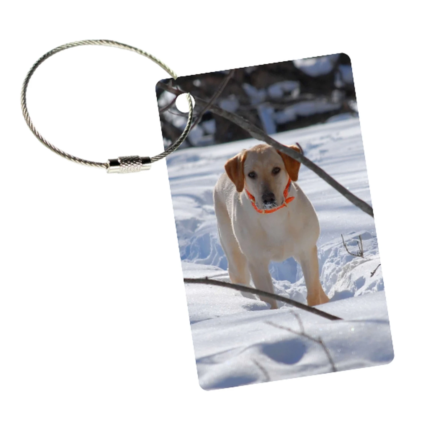 MyFly Tag Custom Personalized Luggage Tag - Stainless Steel Metal Loop Upgrade 9 MyFly Tag Custom Personalized Luggage Tag - Stainless Steel Metal Loop Upgrade - Image 7